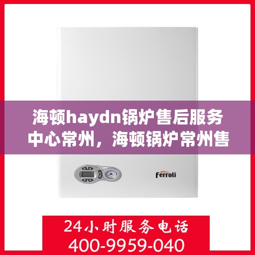 海顿haydn锅炉售后服务中心常州，海顿锅炉常州售后服务中心，专业维修，贴心服务